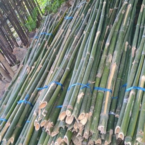 Deluxe Bamboo Poles