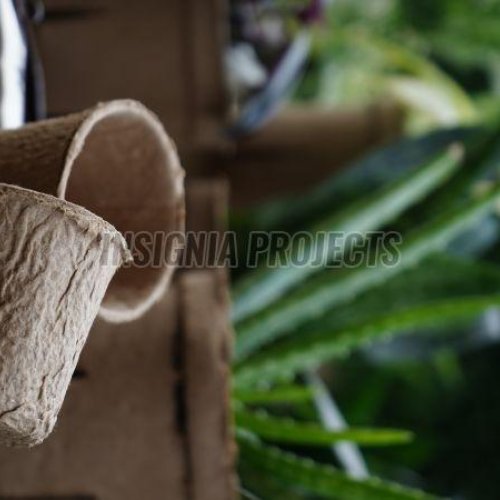 Compostable Plant Holder