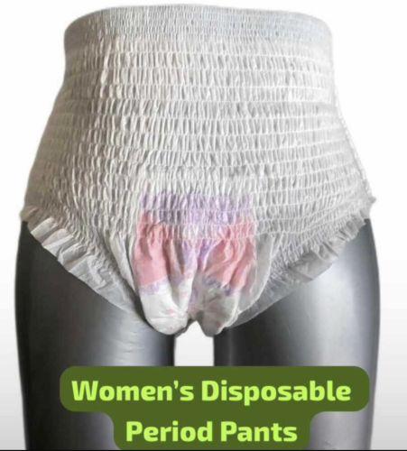 Disposable Period Panty
