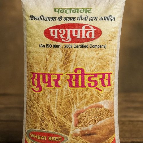 Super Wheat Seed