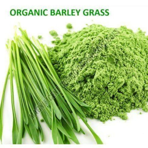 Barley Grass Powder