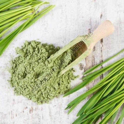 Wheat Grass Powder