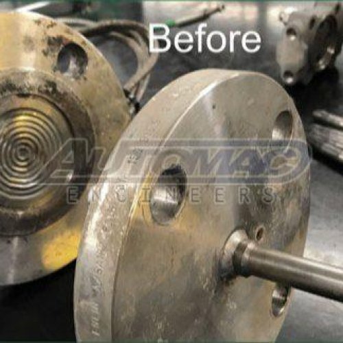 Remote Diaphragm Seal Repairing Service