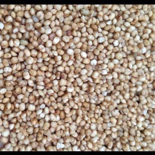 Unpolished Kodo Millet