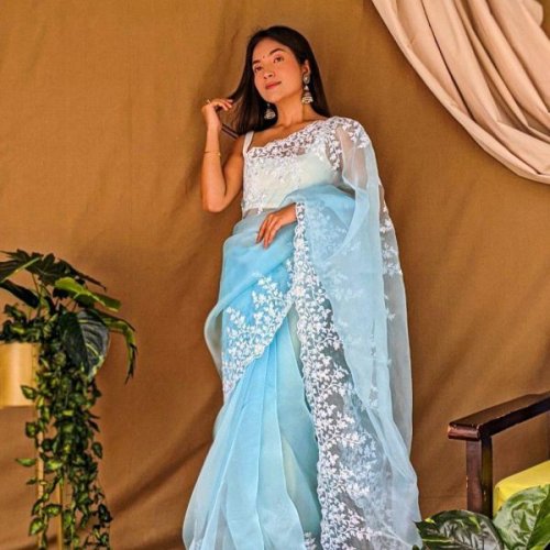 Ladies Designer Organza Silk Saree