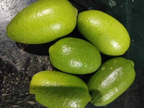 A Grade Fresh Assam Lemon