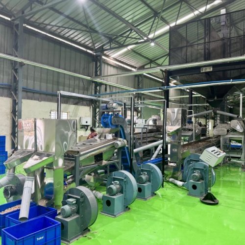 Cashew Scooping Machine