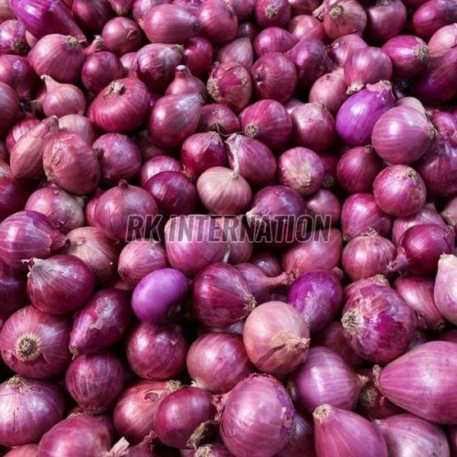 Fresh Red Onion