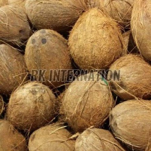 Semi Husked Coconut