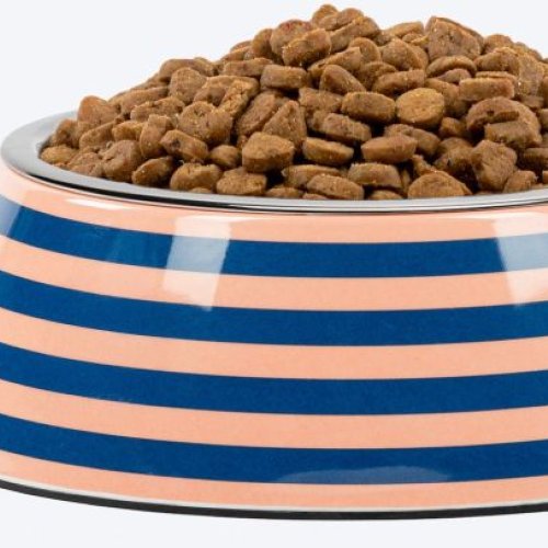 Printed Stainless Steel Plastic Dog Bowl