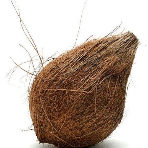 Semi Husked Coconuts
