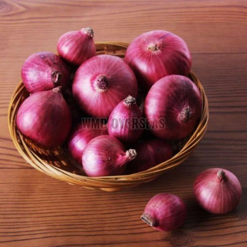 Fresh Red Onion