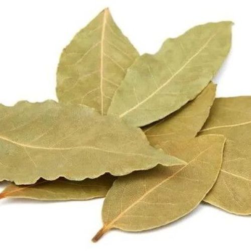 Dried Bay Leaves