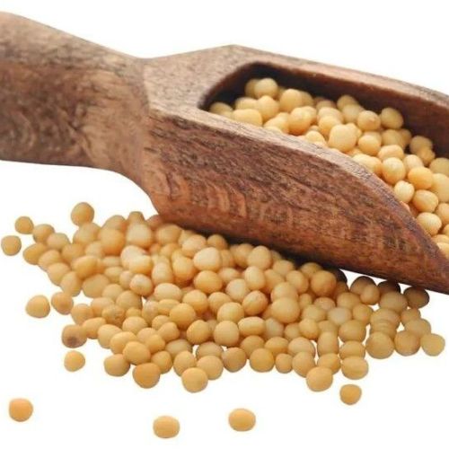 Natural Yellow Mustard Seeds