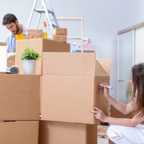 Domestic Packing Moving Service