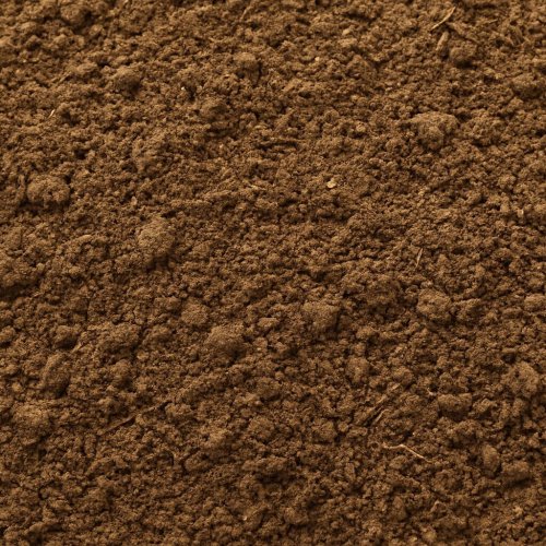 Cow Dung Powder