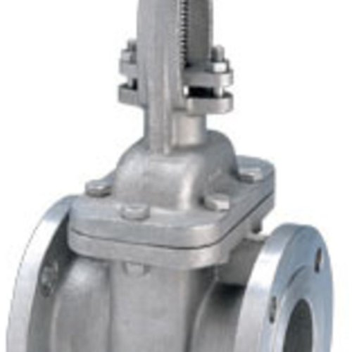 Stainless Steel 316 Gate Valve