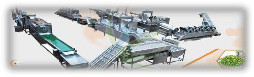 Frozen Fruit & Vegetable Line Machine