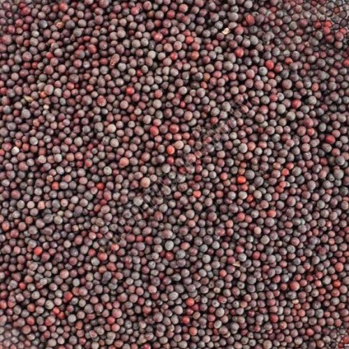 Brown Mustard Seeds