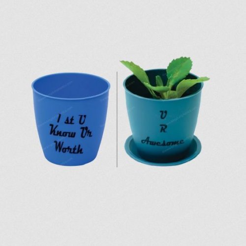 Plastic Mini Bloom Flower Pots