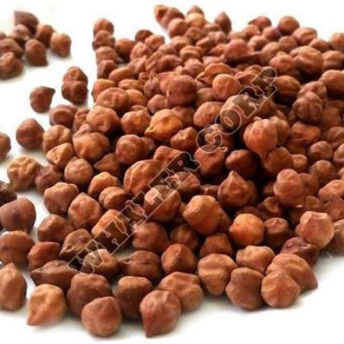 Indian Chickpeas