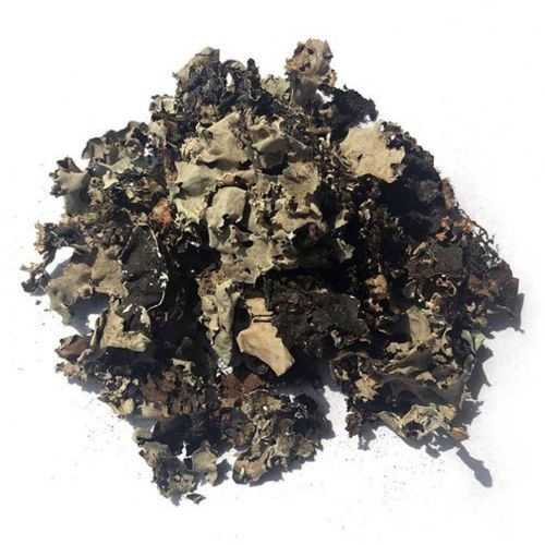 Dried Stone Flower