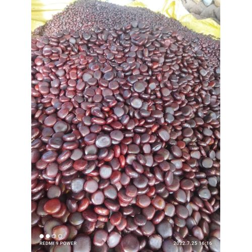 Herbs Gela Seeds