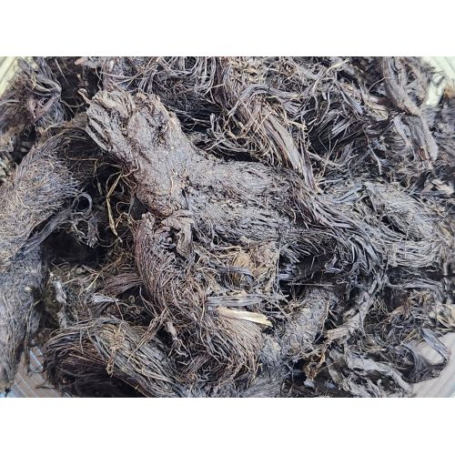 Jatamansi Root