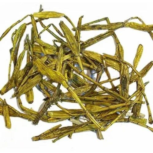 Jeewanti Dry Flower