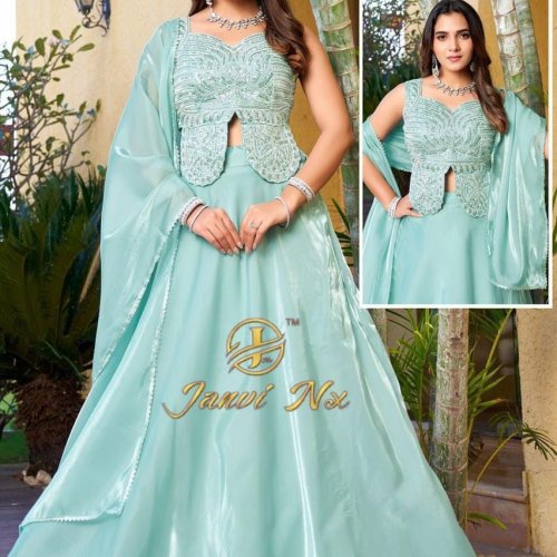 Embroidered Work Velvet Lehanga Choli Set