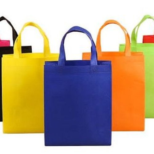 Plain Non Woven Carry Bag