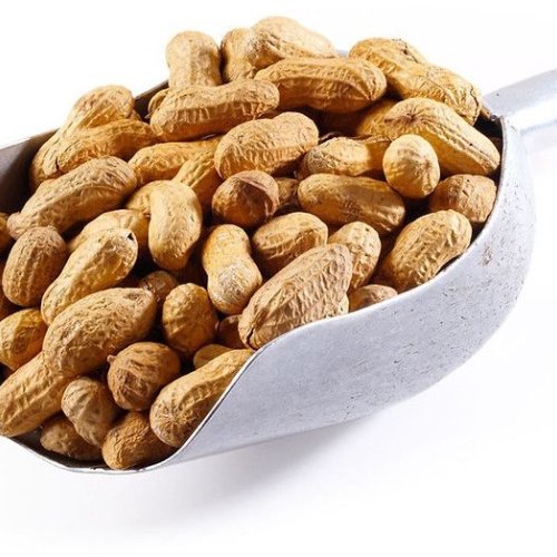 Raw Groundnut With Shell