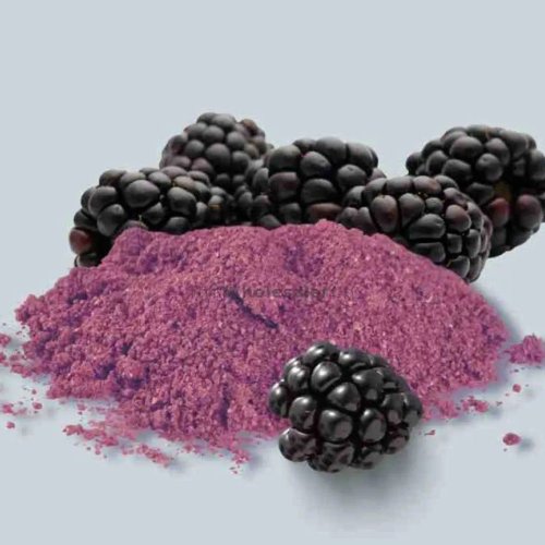 Spray Dried Blackberry Powder