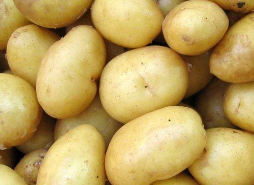 A Grade Jyoti Potato