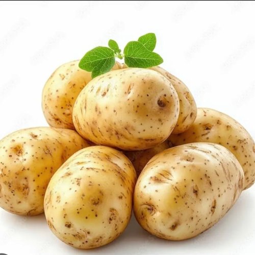 Fresh Brown Potato