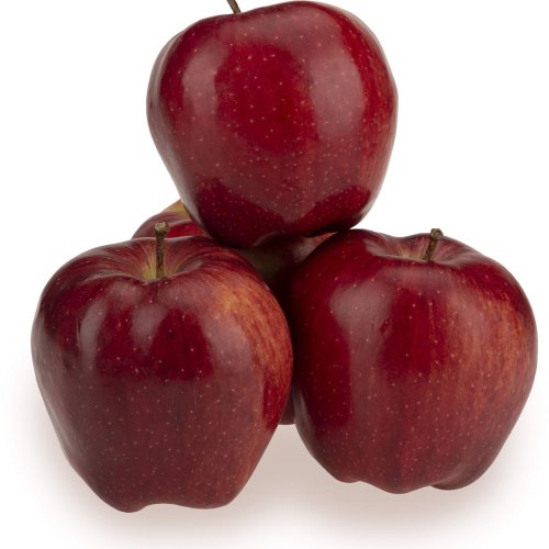 Fresh Red Apple