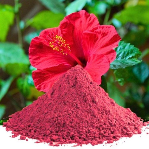 Hibiscus Powder