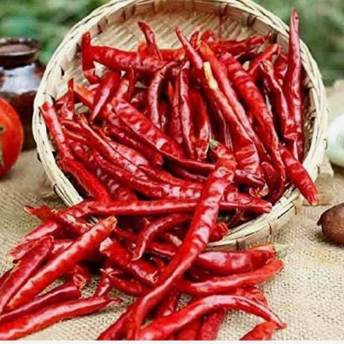 Dried Red Chili