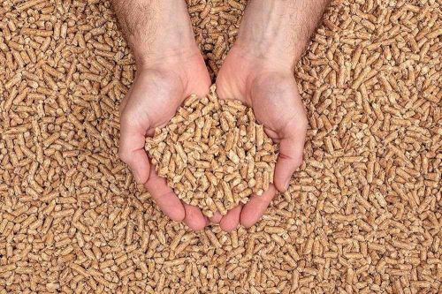 Clean-Burning Wood Energy Pellet