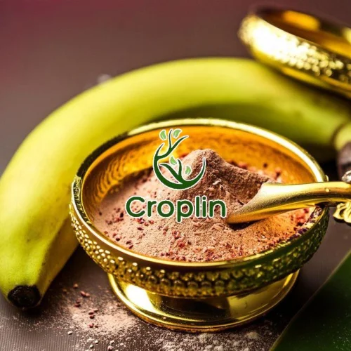 Spray Dried Green Banana Powder