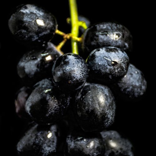 Fresh Black Grapes