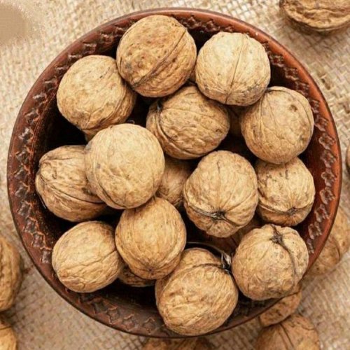 Shelled Walnuts