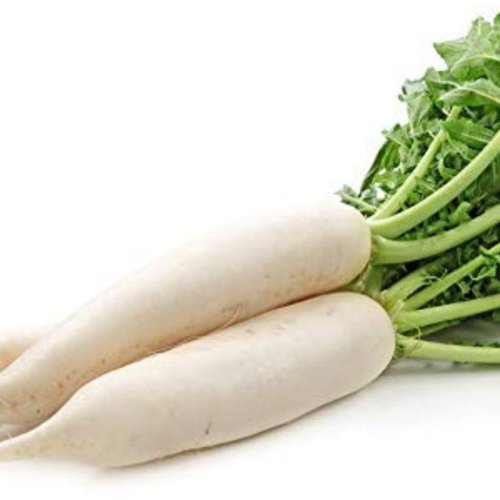 A Grade Fresh Radish