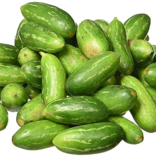 Fresh Green Ivy Gourd