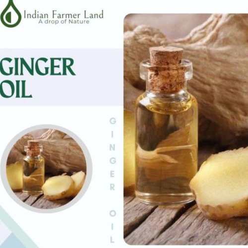 Ginger Oil