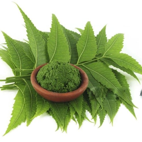Detox &AMP; Immunity Support Neem Powder