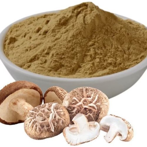 High Quality Mushroom Powder