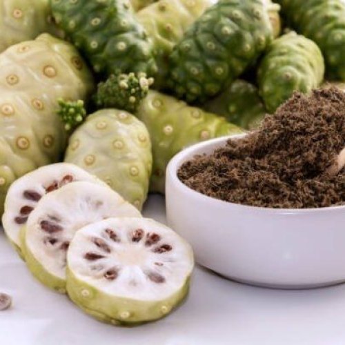 Immune Vitality Noni Fruit Powder