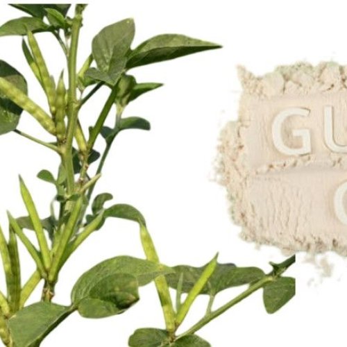 Multi Industry Grade Guar Gum Powder