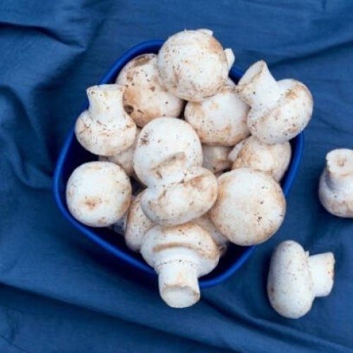 Natural Umami Mushroom Powder